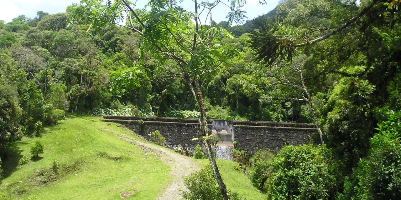 Sanepar é reconhecida internacionalmente pelo CDP por avanços em segurança hídrica e gestão climática