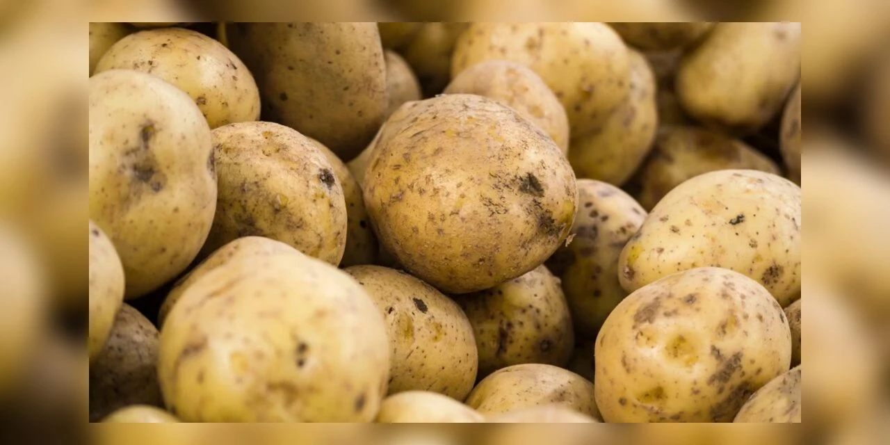 Venda de batatas vira caso de Polícia em cidade da região; entenda