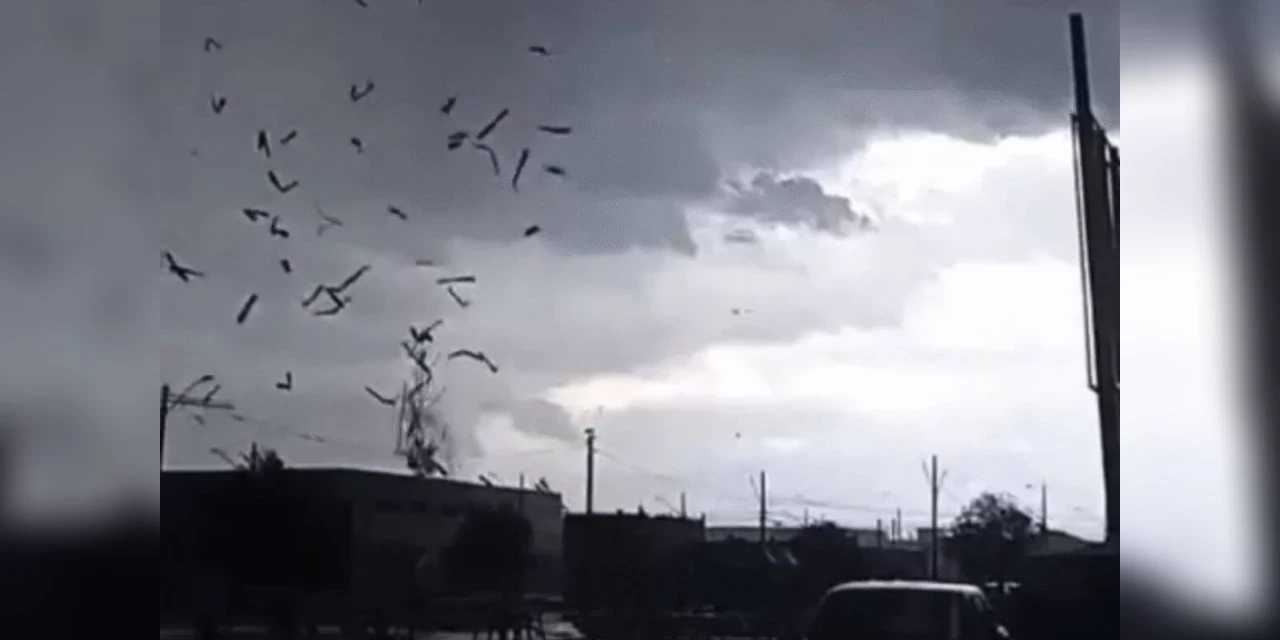 VÍDEO: Simepar confirma tornado em São José dos Pinhais; 200 casas sofrem danos