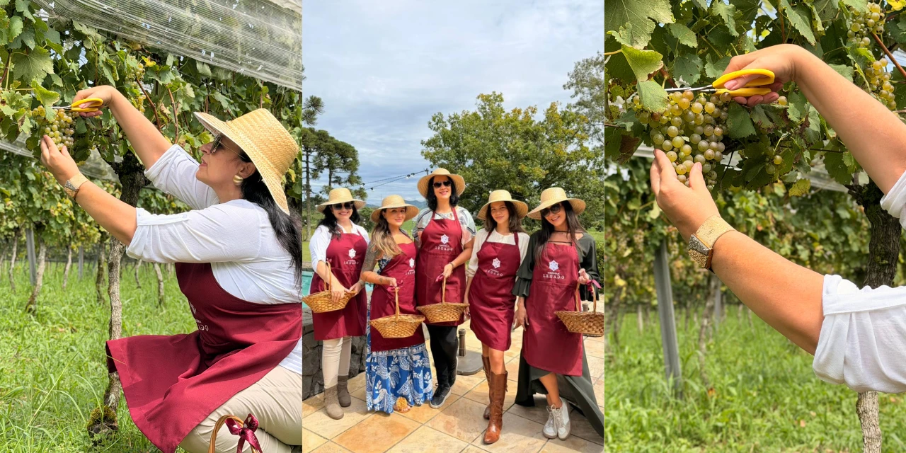 Vinhos & Viagens: 'Vinícola Legado anuncia novas edições do Amanhecer no Vinhedo, Festa da Colheita eleita duas vezes a melhor experiência de enoturismo do Paraná', por Patrícia Ecave