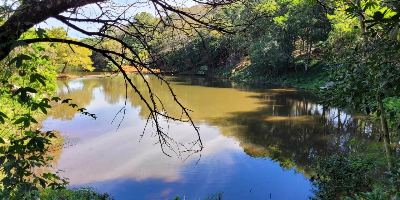 Mulher encontra bebê morto durante limpeza em parque no PR