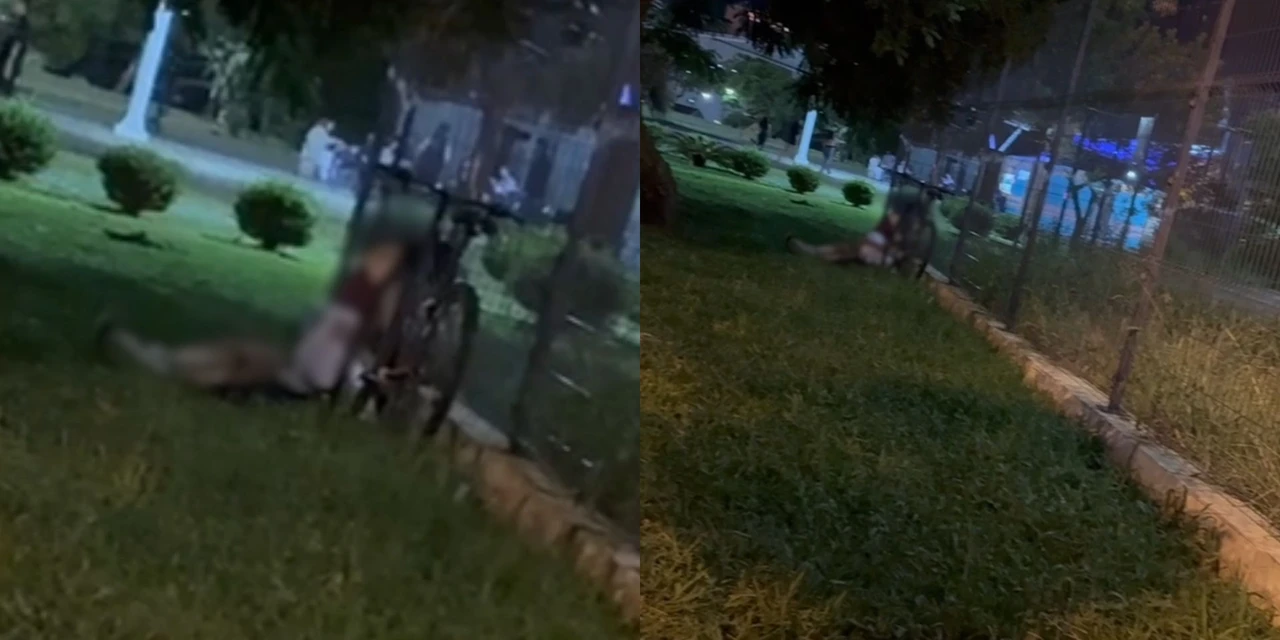 Vídeo flagra suposto ato sexual durante bloco de Carnaval em PG