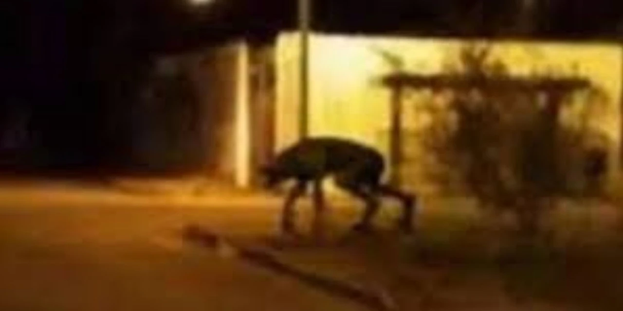 D’Ponta News vai à caça do Lobisomem da Ronda em Ponta Grossa