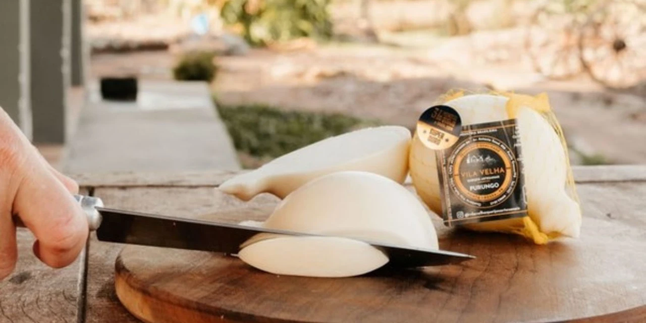 Com apoio do Sebrae, produtos da região conquistam certificação e apoio para comercialização