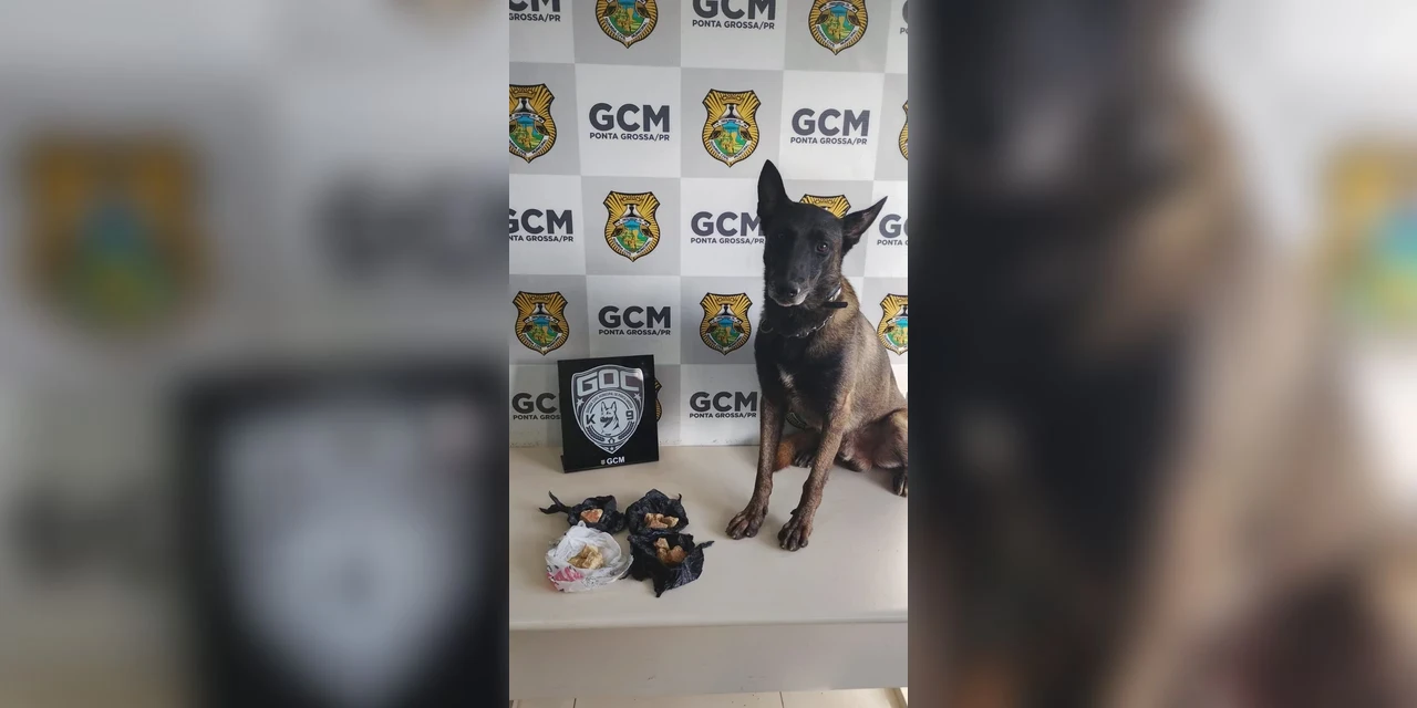 Bolt localiza crack nas proximidades de córrego no Boa Vista