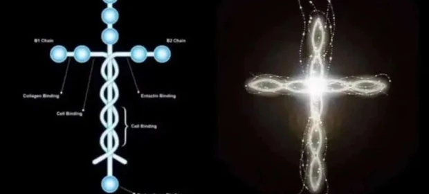 PR prepara fluxo para facilitar o acesso ao tratamento com a 'Proteína de Deus'