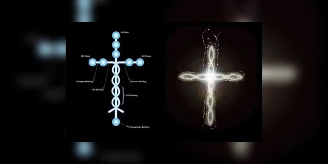 PR prepara fluxo para facilitar o acesso ao tratamento com a 'Proteína de Deus'