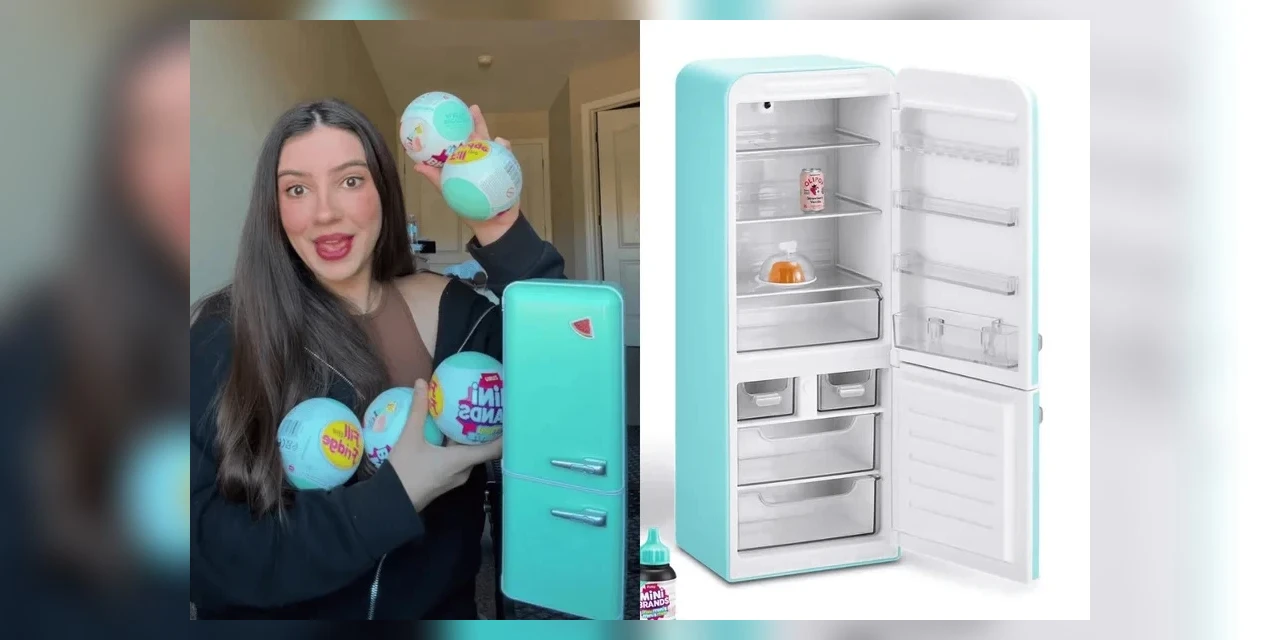 Após bebês reborn e labubus, mini geladeira surge como nova febre entre adultos