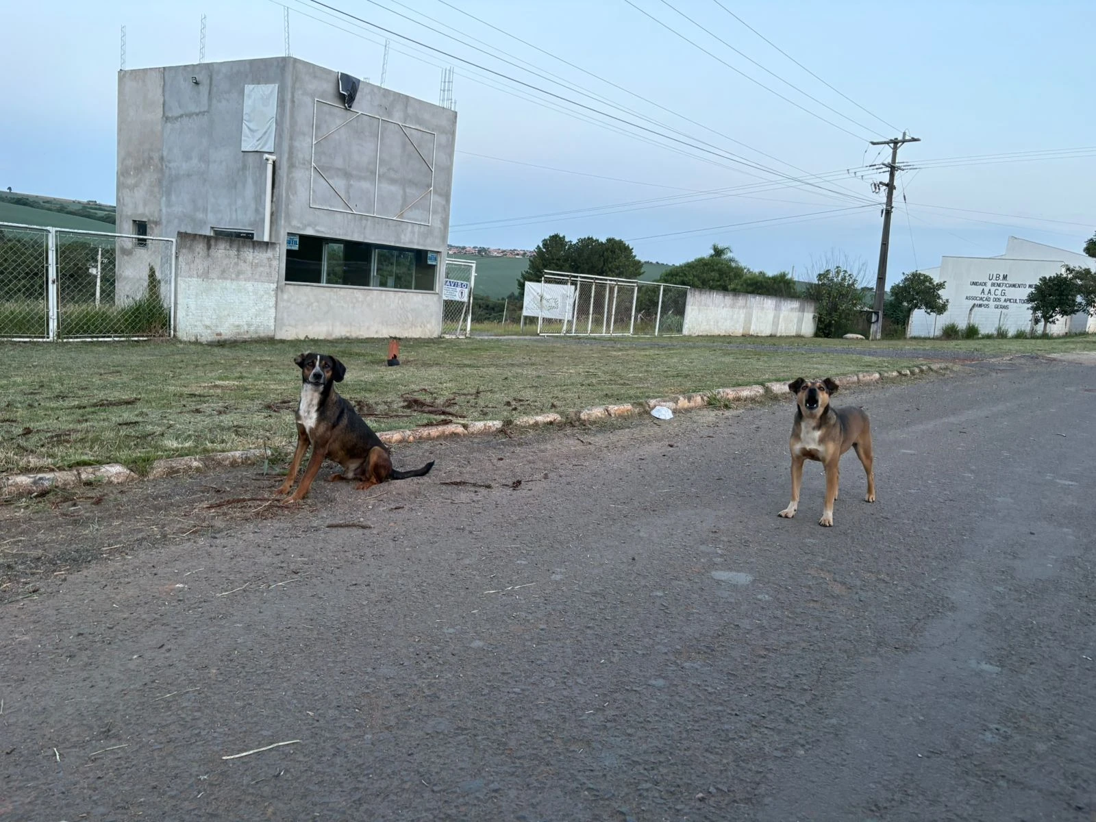 Foto: Heryvelton Martins